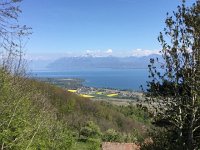 2017-04-23 15-20-07 e5ae4576  poscardium